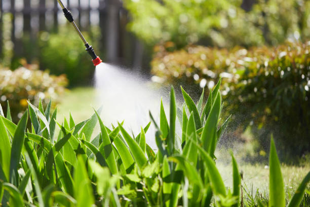 Void Injection for Cockroach Colonies in Spring Hill