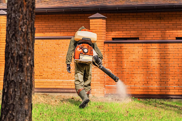 Cockroach Follow-Up and Monitoring in Spring Hill